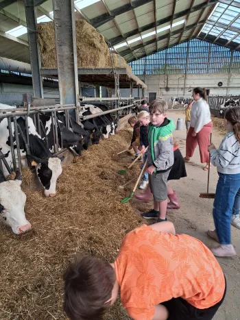 de gentse zuivelhoeve