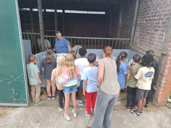 de maaihoeve