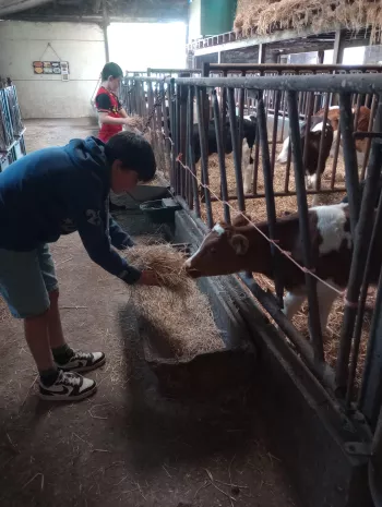 de uitkijkboerderij