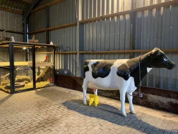 Het Olen's Koetje