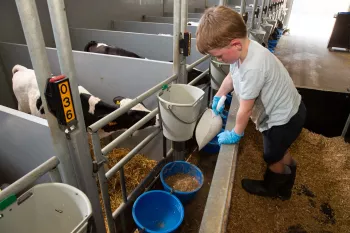 Winnerfarm Maes