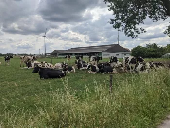 de gentse zuivelhoeve