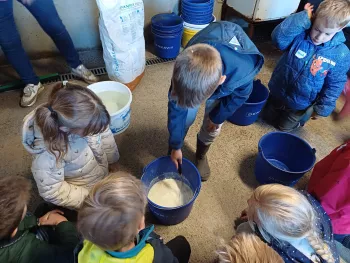 de klaverendries