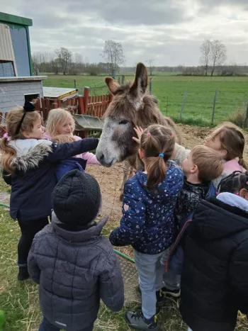 de maaihoeve