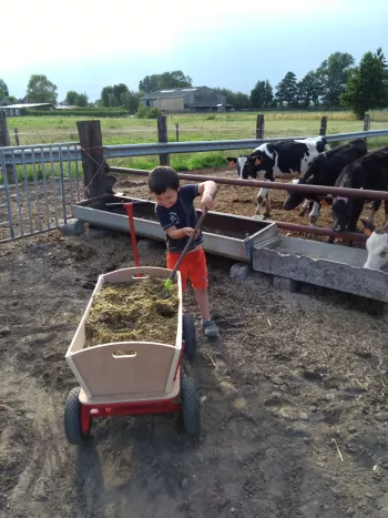 de uitkijkboerderij