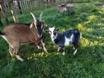 de uitkijkboerderij