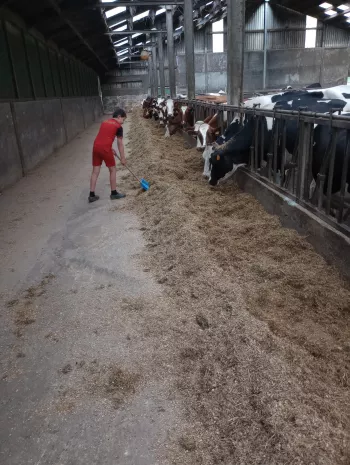 de uitkijkboerderij