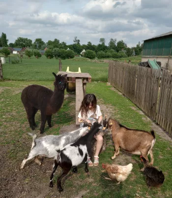 de uitkijkboerderij