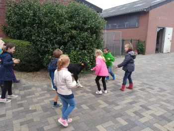 Melkautomaat Achterbroek