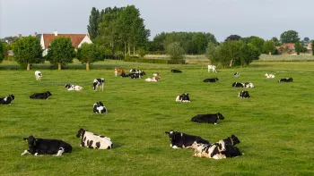 Boerderij Ten Doorn