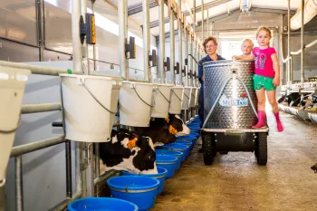 Winnerfarm Maes