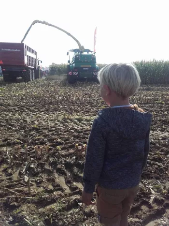 de krekelhoeve