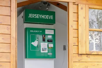 Jerseyhoeve De Haan