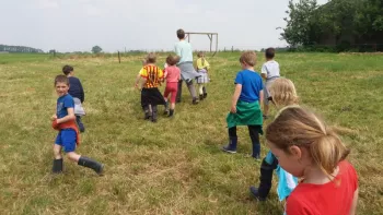 De Wijngaerdbossen