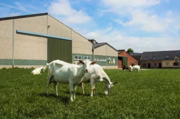 Kaasboerderij 't Leenhof 