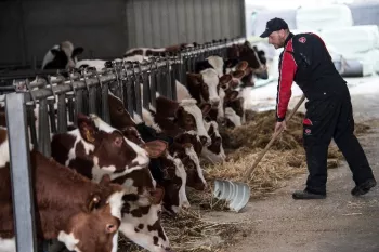 Kaasboerderij 't Leenhof 