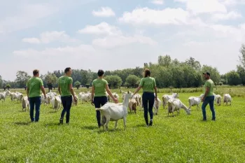 Kaasboerderij 't Leenhof 