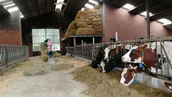Hanneke Tas Hoeve