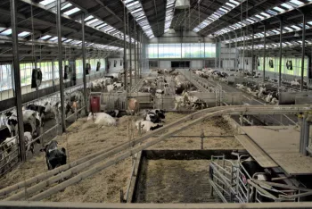 de statiehoeve