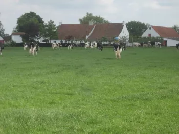 't Hof van Rapenburg 