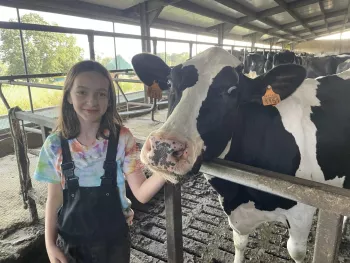  KOEkeloeren Beleefboerderij