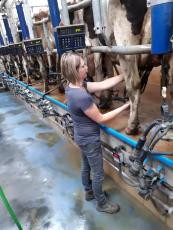 Hoeve De Volle Melk