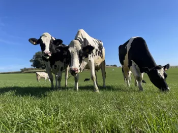  KOEkeloeren Beleefboerderij