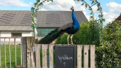 De Uitkijkboerderij