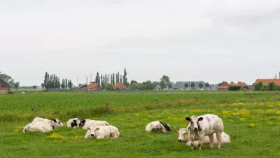 Den IJsbol