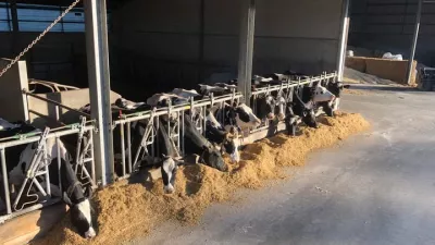Hoeve Hillen - Plessers 