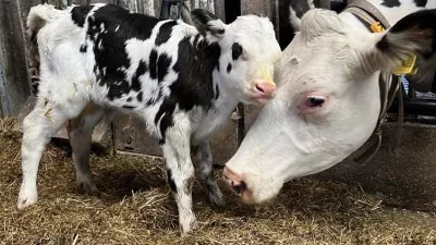 Kinderboerderij ‘t Schuurken