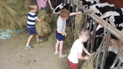 Hoeve Verhelst-Holsteins