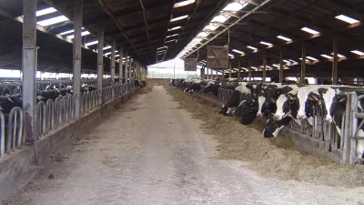 Haagdorenhoeve 