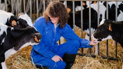 Wespedongen Dairy