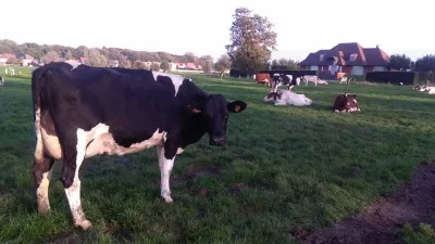 Zuivelhoeve De Potterie